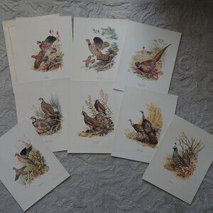 Field & Stream's Portfolio of Game Birds Painted by Ned Smith Limited Edition